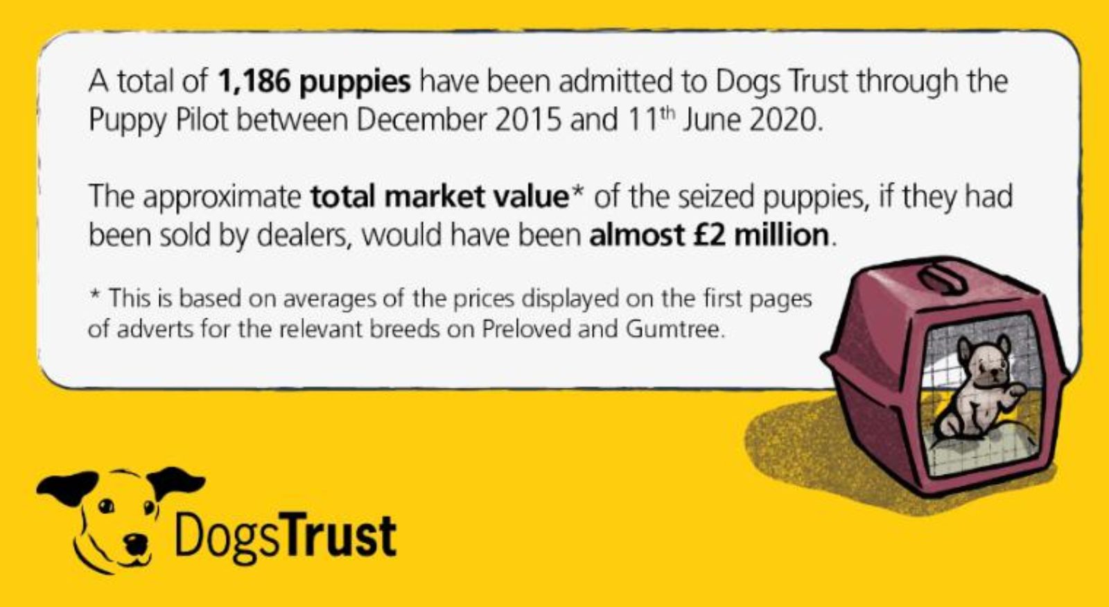 Puppy Smuggling from Dogs Trust